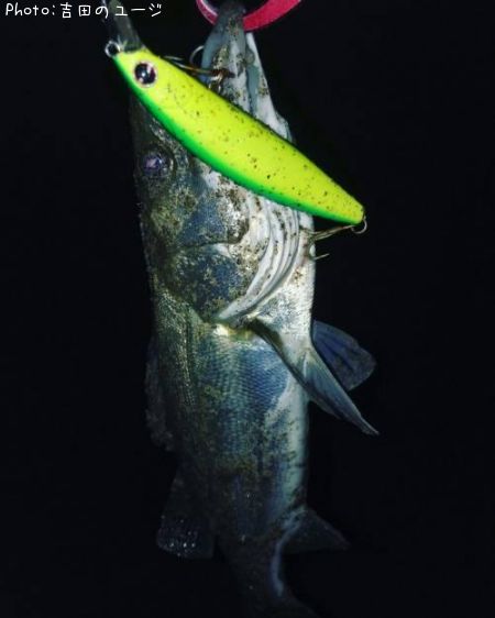 �����Х�