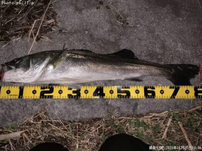 �����Х�