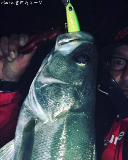 �����Х�