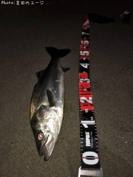 �����Х�