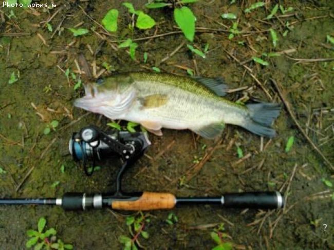 �֥�å��Х�