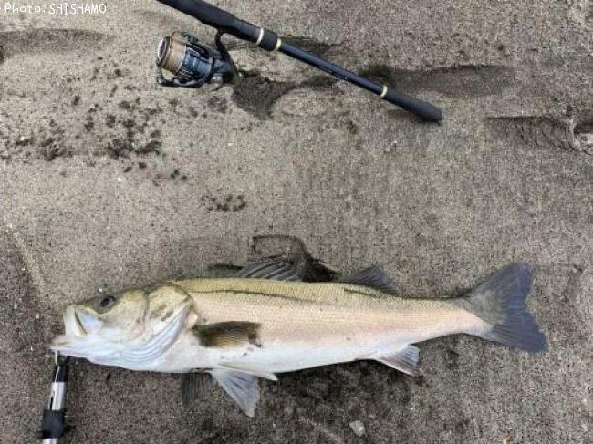 �����Х�