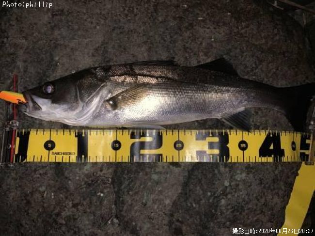 �����Х�