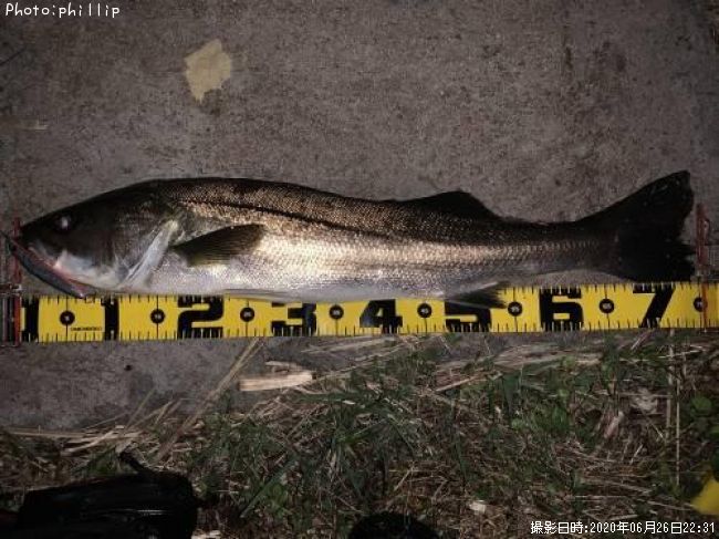 �����Х�