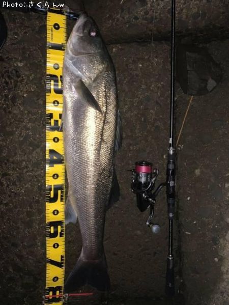 �����Х�