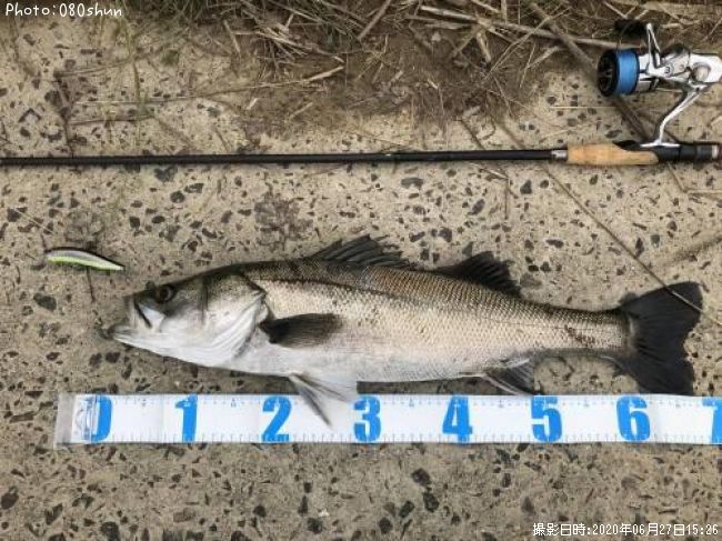 �����Х�