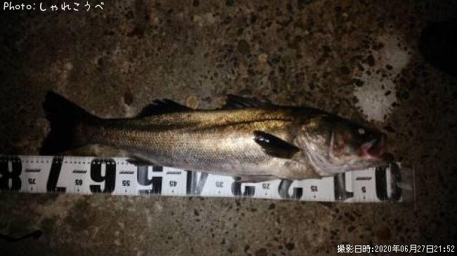 �����Х�