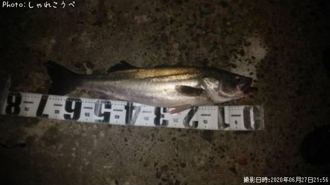 �����Х�