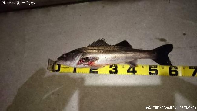 �����Х�