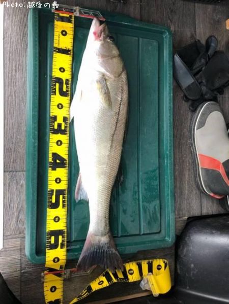 �����Х�