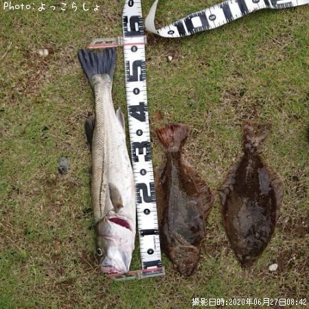 �����Х�