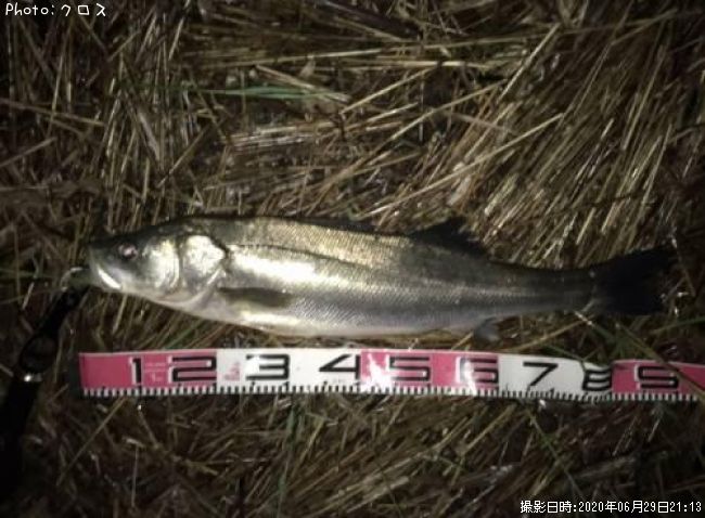 �����Х�