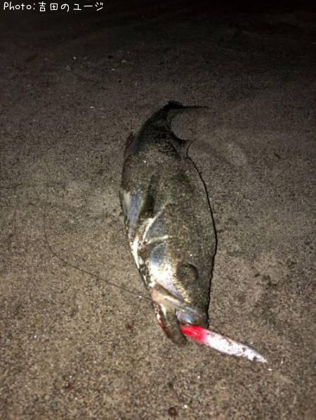 �����Х�