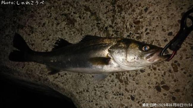 �����Х�