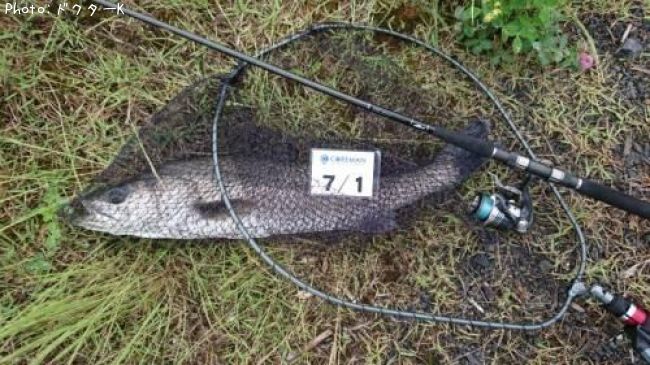 �����Х�