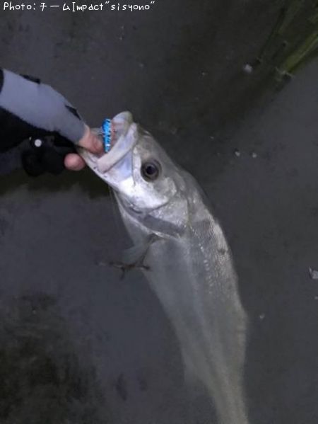 �����Х�