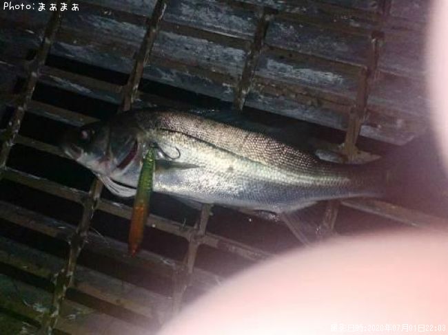 �����Х�