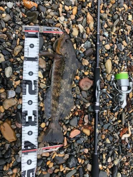 �����ʥ�