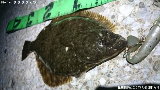 ���쥤���勵�ꥬ��