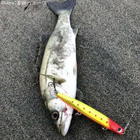 �����Х�