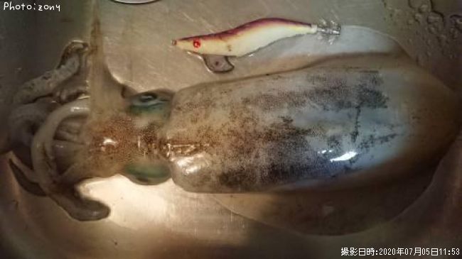 �����ꥤ��