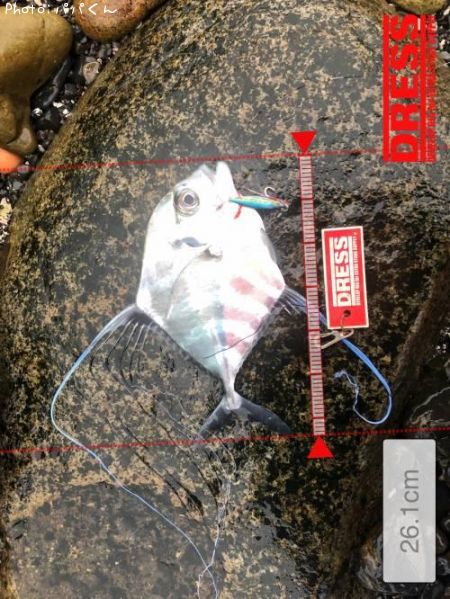 ���ȥҥ�����