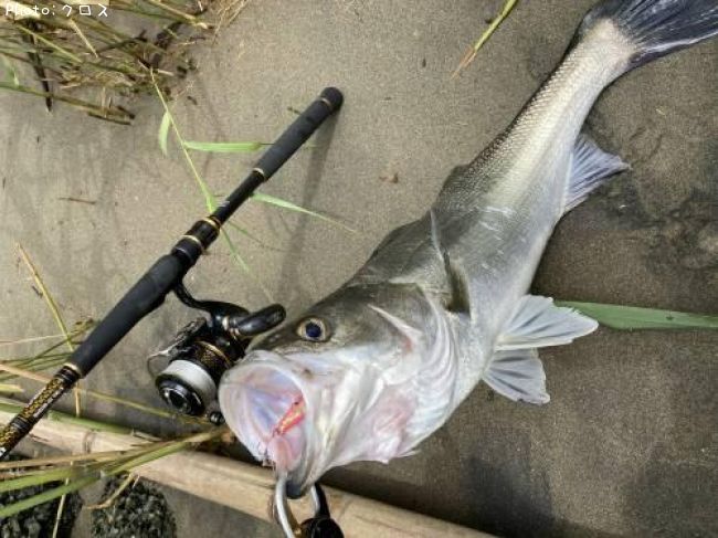 �����Х�