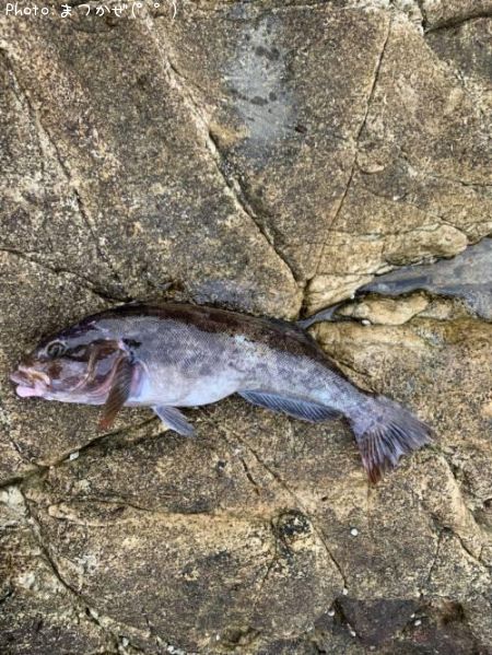 �����ʥ�