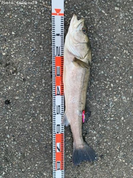 �����Х�