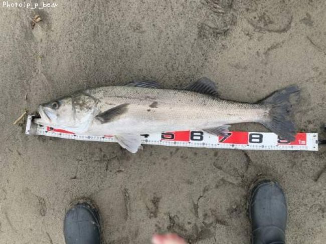 �����Х�