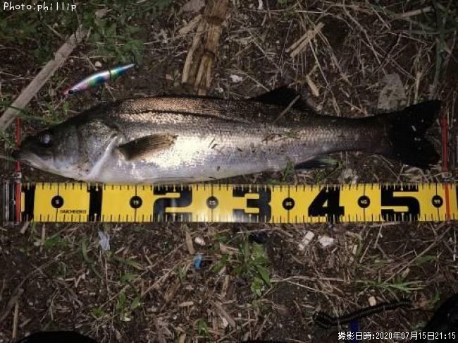 �����Х�