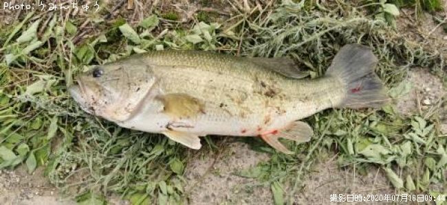 �֥�å��Х�