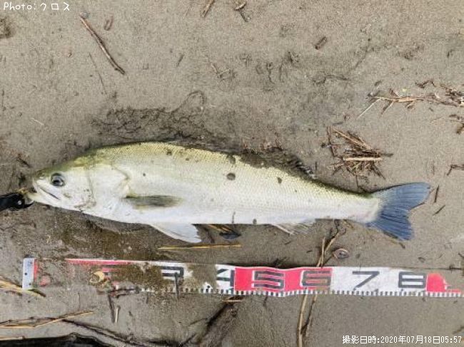 �����Х�