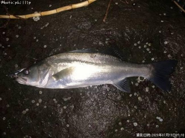 �����Х�