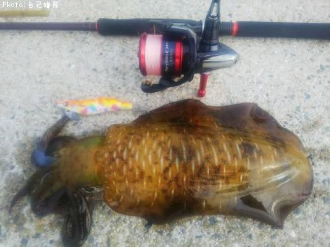 �����ꥤ��