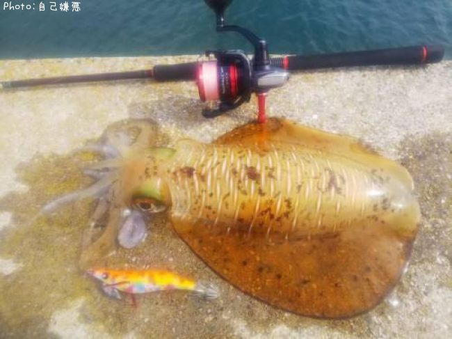 �����ꥤ��