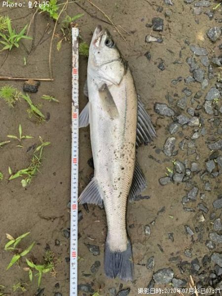 �����Х�