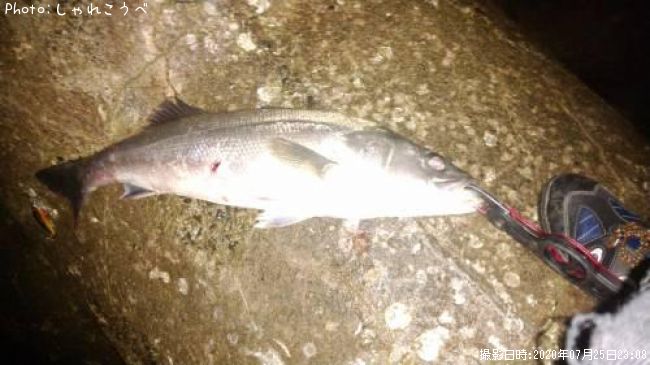 �����Х�