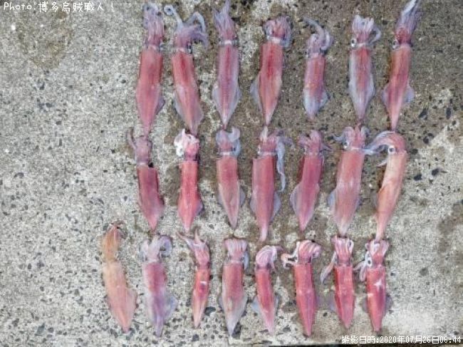 ���󥵥�����