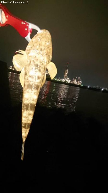 �ޥ���