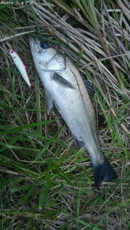 �����Х�