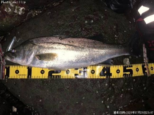 �����Х�