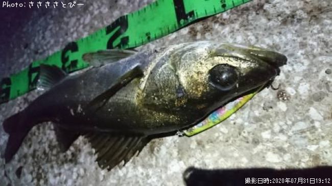 �����Х�