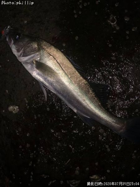 �����Х�