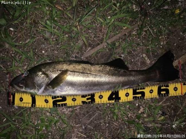 �����Х�