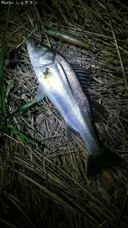 �����Х�