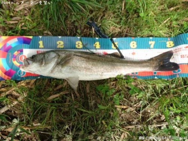 �����Х�