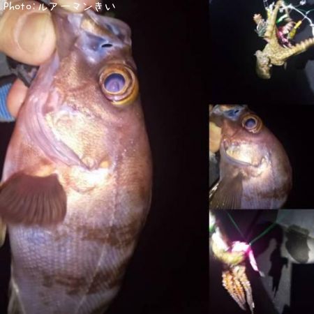 ��Х�ȥ���