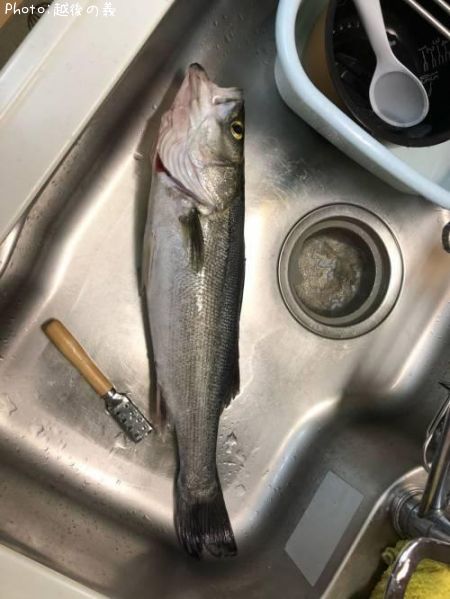 �����Х�