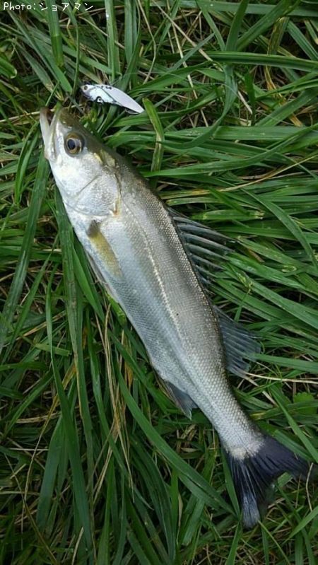 �����Х�